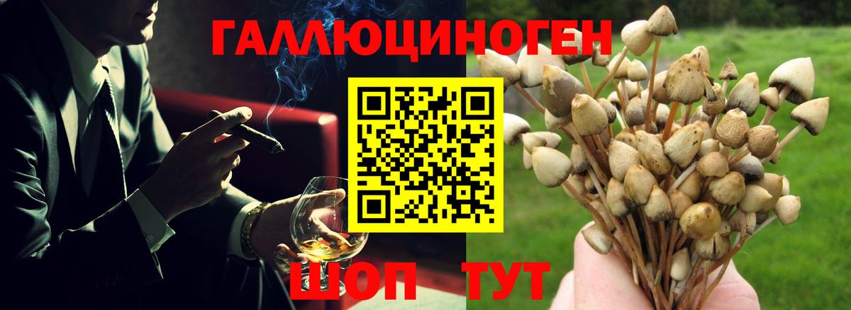 Псилоцибиновые грибы прущие грибы  Вход с VPN  Галлюциногенные грибы Magic Shrooms  Курчатов 